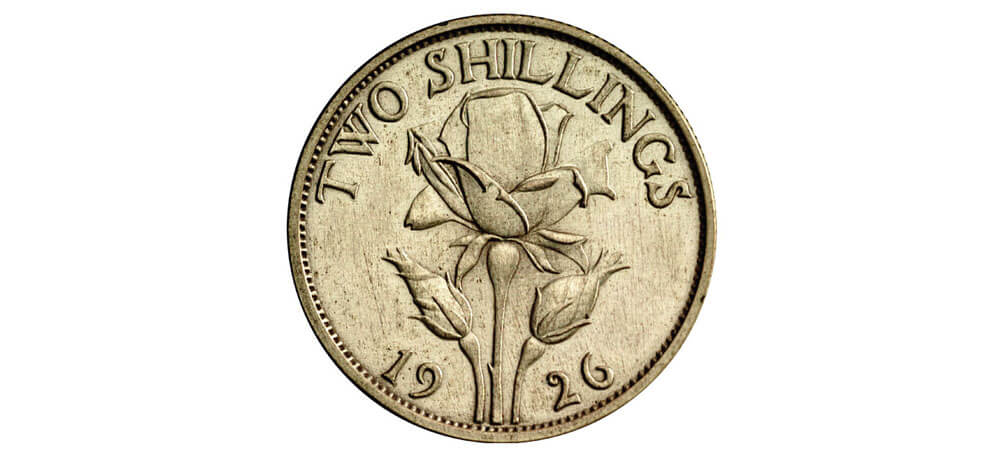 1926 florin.jpg