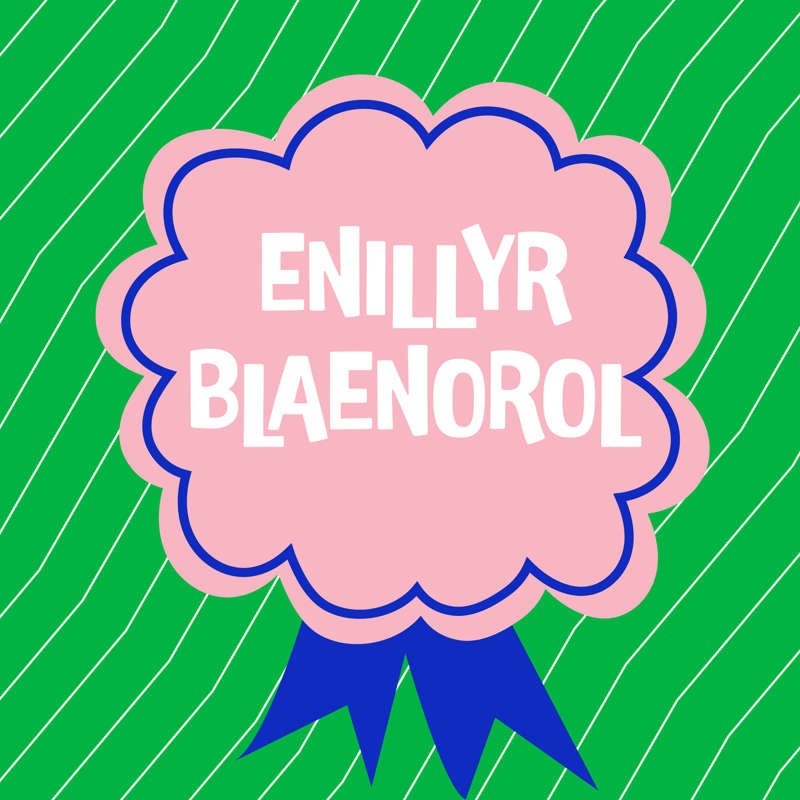 Enillyr blaenorol