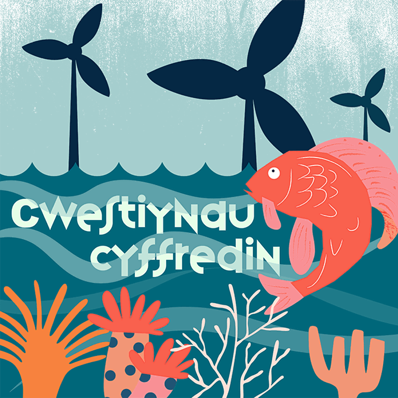 Cwestiynau Cyffredin