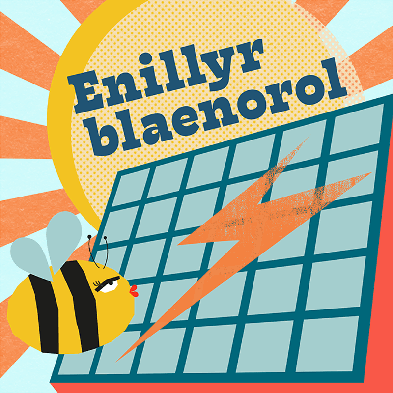 Enillyr blaenorol